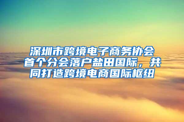 深圳市跨境電子商務(wù)協(xié)會(huì)首個(gè)分會(huì)落戶鹽田國際，共同打造跨境電商國際樞紐