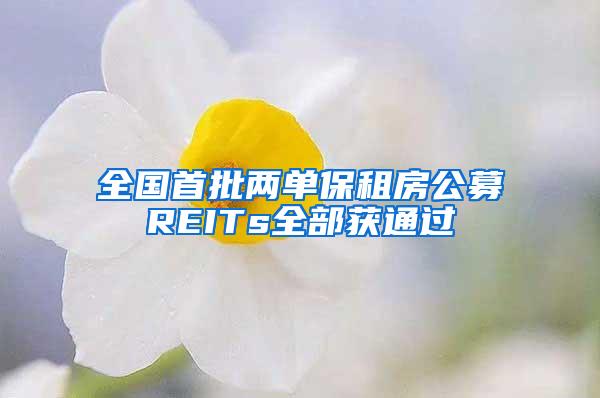 全國(guó)首批兩單保租房公募REITs全部獲通過(guò)