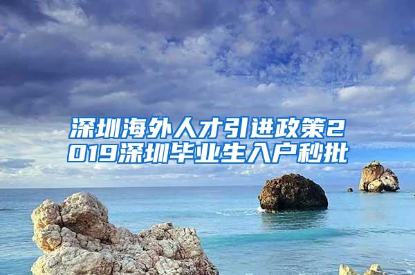 深圳海外人才引進(jìn)政策2019深圳畢業(yè)生入戶(hù)秒批