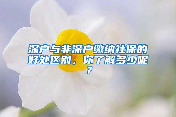 深戶與非深戶繳納社保的好處區(qū)別，你了解多少呢？