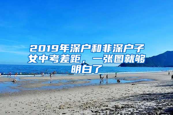 2019年深戶和非深戶子女中考差距，一張圖就夠明白了