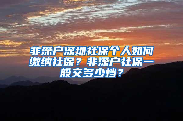 非深戶深圳社保個(gè)人如何繳納社保？非深戶社保一般交多少檔？