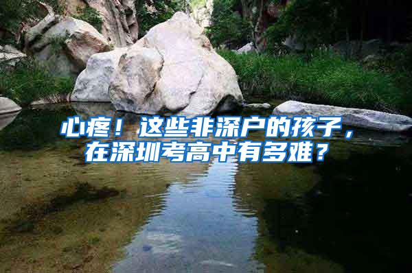 心疼！這些非深戶的孩子，在深圳考高中有多難？