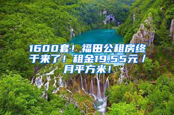 1600套！福田公租房終于來了！租金19.55元／月平方米！