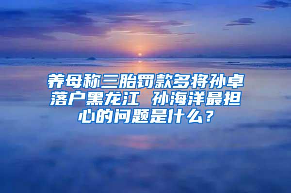 養(yǎng)母稱三胎罰款多將孫卓落戶黑龍江 孫海洋最擔(dān)心的問題是什么？