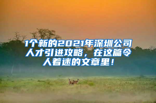 1個(gè)新的2021年深圳公司人才引進(jìn)攻略，在這篇令人著迷的文章里！