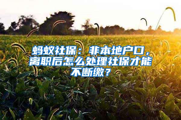 螞蟻社保：非本地戶口，離職后怎么處理社保才能不斷繳？