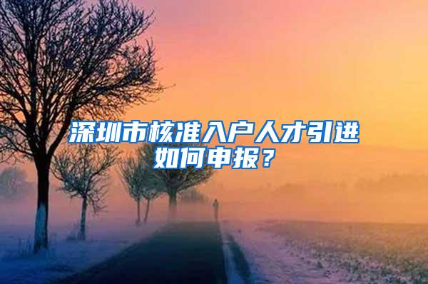 深圳市核準(zhǔn)入戶人才引進如何申報？