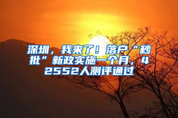 深圳，我來(lái)了！落戶(hù)“秒批”新政實(shí)施一個(gè)月，42552人測(cè)評(píng)通過(guò)