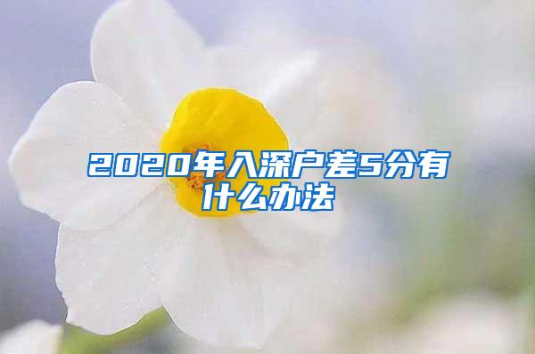 2020年入深戶差5分有什么辦法