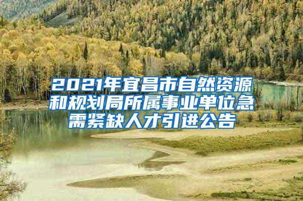 2021年宜昌市自然資源和規(guī)劃局所屬事業(yè)單位急需緊缺人才引進(jìn)公告