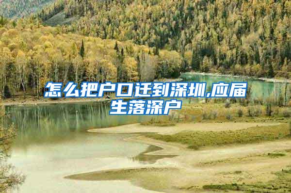 怎么把戶口遷到深圳,應(yīng)屆生落深戶