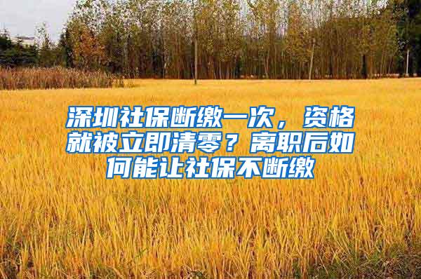 深圳社保斷繳一次，資格就被立即清零？離職后如何能讓社保不斷繳