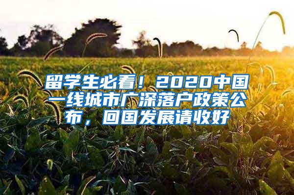 留學(xué)生必看！2020中國一線城市廣深落戶政策公布，回國發(fā)展請收好