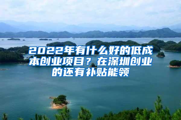 2022年有什么好的低成本創(chuàng)業(yè)項(xiàng)目？在深圳創(chuàng)業(yè)的還有補(bǔ)貼能領(lǐng)