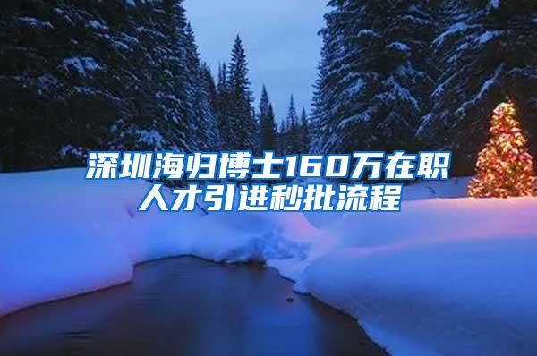 深圳海歸博士160萬(wàn)在職人才引進(jìn)秒批流程