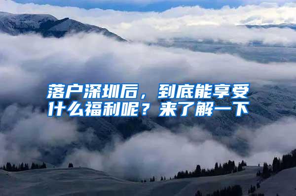 落戶深圳后，到底能享受什么福利呢？來了解一下