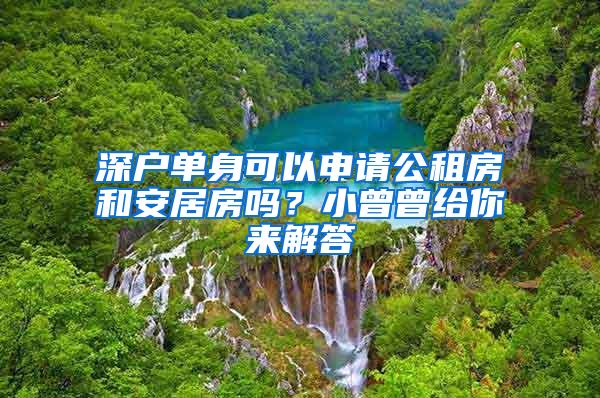 深戶單身可以申請公租房和安居房嗎？小曾曾給你來解答