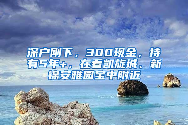 深戶剛下，300現(xiàn)金，持有5年+，在看凱旋城、新錦安雅園寶中附近