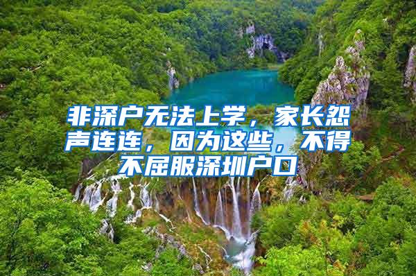 非深戶無法上學(xué)，家長怨聲連連，因?yàn)檫@些，不得不屈服深圳戶口