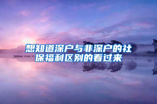 想知道深戶與非深戶的社保福利區(qū)別的看過來