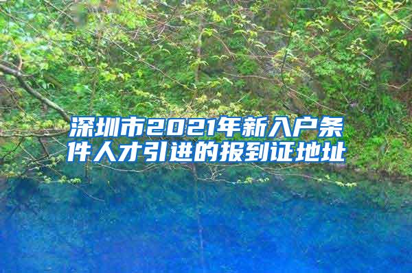 深圳市2021年新入戶條件人才引進的報到證地址