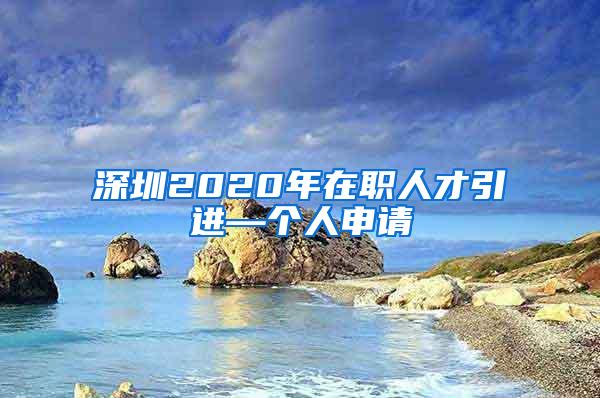 深圳2020年在職人才引進(jìn)—個(gè)人申請(qǐng)