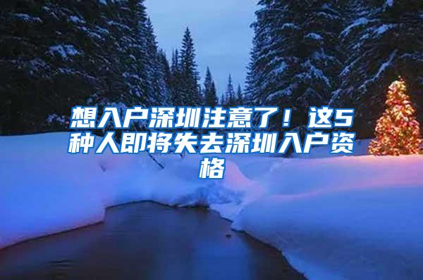 想入戶深圳注意了！這5種人即將失去深圳入戶資格