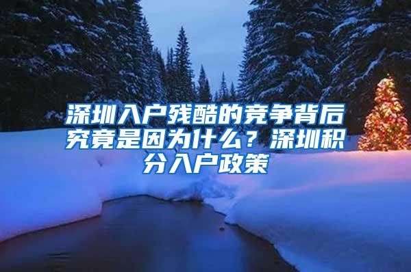 深圳入戶殘酷的競爭背后究竟是因為什么？深圳積分入戶政策