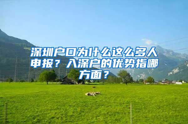 深圳戶口為什么這么多人申報(bào)？入深戶的優(yōu)勢(shì)指哪方面？