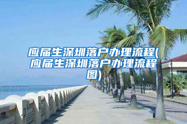 應屆生深圳落戶辦理流程(應屆生深圳落戶辦理流程圖)