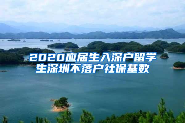 2020應(yīng)屆生入深戶留學(xué)生深圳不落戶社?；鶖?shù)