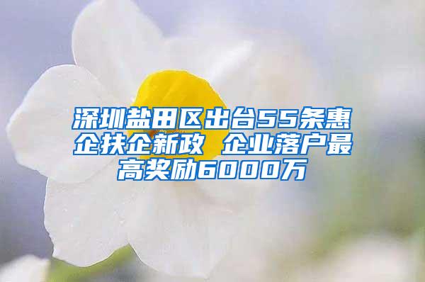 深圳鹽田區(qū)出臺55條惠企扶企新政 企業(yè)落戶最高獎勵(lì)6000萬