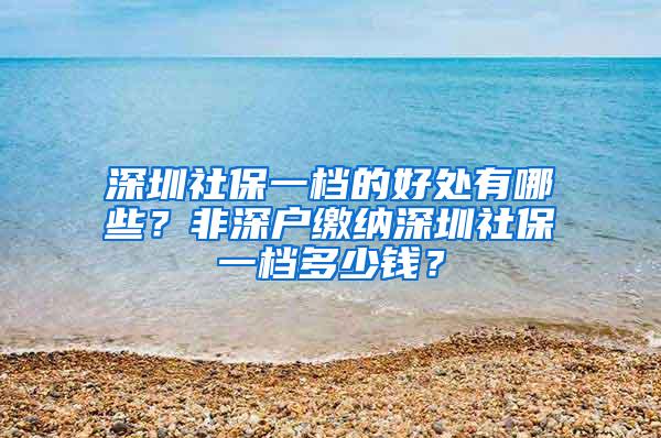 深圳社保一檔的好處有哪些？非深戶繳納深圳社保一檔多少錢？