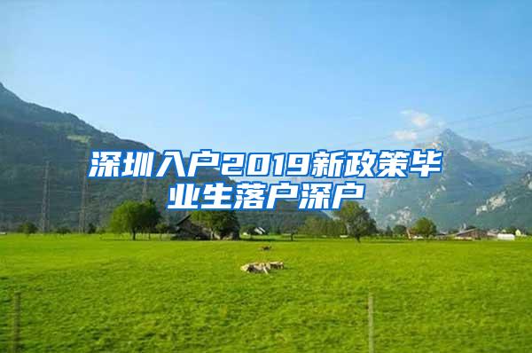 深圳入戶2019新政策畢業(yè)生落戶深戶