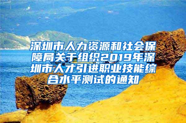 深圳市人力資源和社會保障局關(guān)于組織2019年深圳市人才引進(jìn)職業(yè)技能綜合水平測試的通知