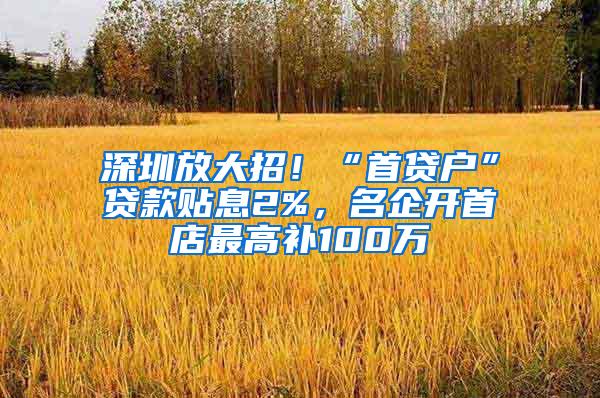 深圳放大招！“首貸戶”貸款貼息2%，名企開首店最高補100萬