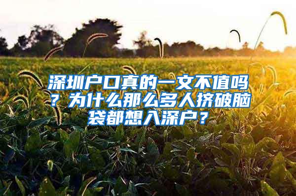 深圳戶口真的一文不值嗎？為什么那么多人擠破腦袋都想入深戶？