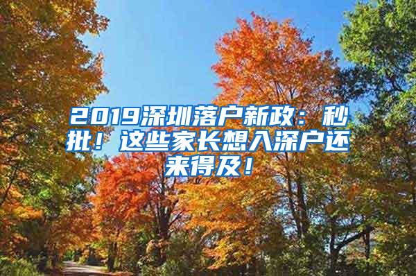 2019深圳落戶新政：秒批！這些家長想入深戶還來得及！