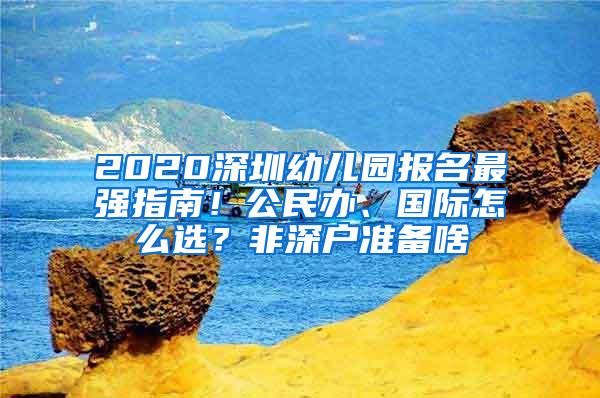 2020深圳幼兒園報(bào)名最強(qiáng)指南！公民辦、國際怎么選？非深戶準(zhǔn)備啥