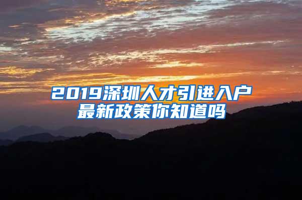 2019深圳人才引進入戶最新政策你知道嗎