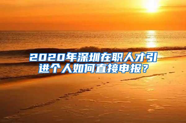 2020年深圳在職人才引進個人如何直接申報？