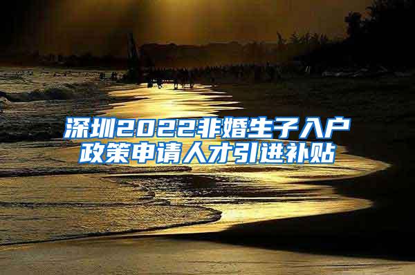 深圳2022非婚生子入戶政策申請人才引進(jìn)補(bǔ)貼