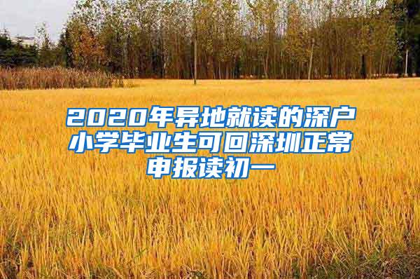 2020年異地就讀的深戶小學(xué)畢業(yè)生可回深圳正常申報(bào)讀初一