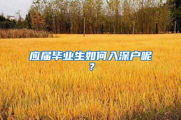 應(yīng)屆畢業(yè)生如何入深戶呢？