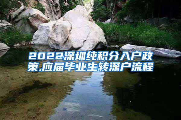 2022深圳純積分入戶政策,應屆畢業(yè)生轉深戶流程