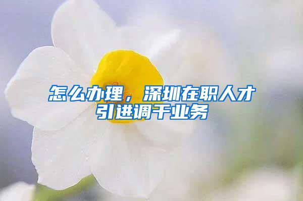 怎么辦理，深圳在職人才引進調(diào)干業(yè)務(wù)