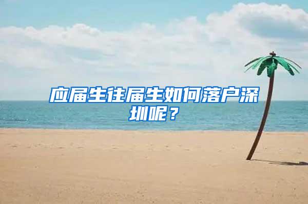 應(yīng)屆生往屆生如何落戶深圳呢？