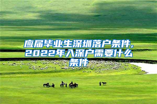 應(yīng)屆畢業(yè)生深圳落戶(hù)條件,2022年入深戶(hù)需要什么條件