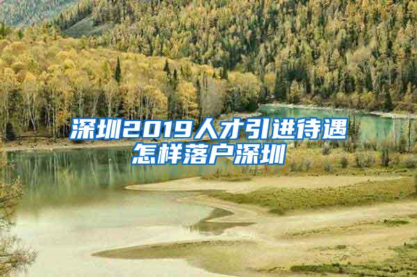 深圳2019人才引進待遇怎樣落戶深圳